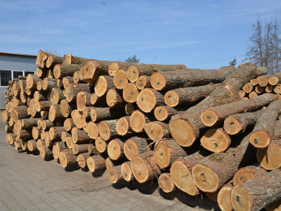 Logging, harvesting of timber