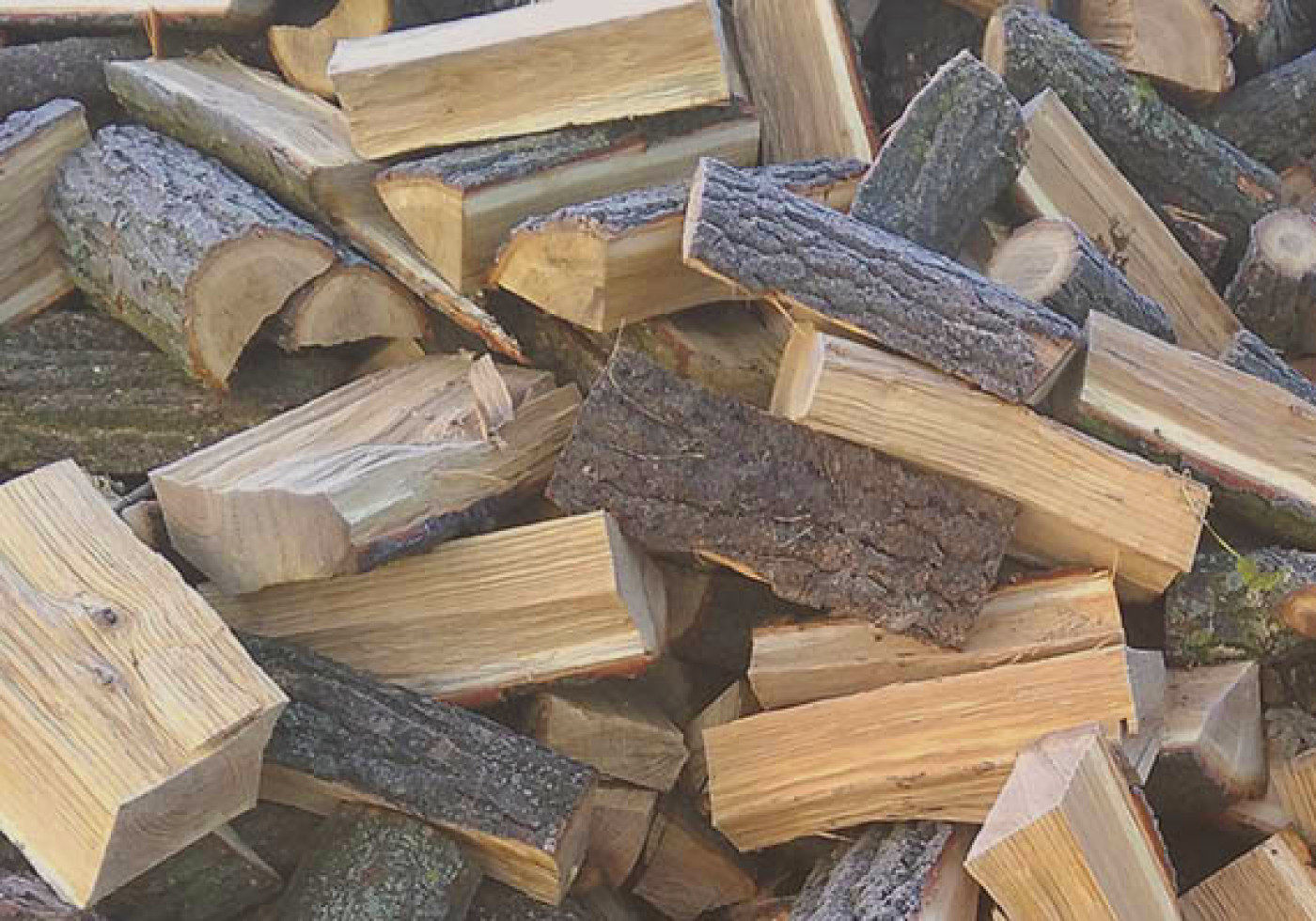 Заготівля дров