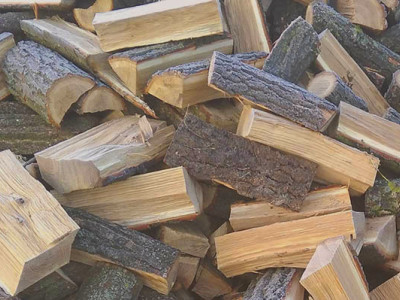Заготівля дров